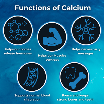 Functions-of-Calcium - SOS Hydration-sa