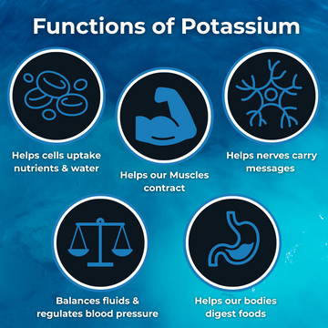 Functions-of-potassium - SOS Hydration-sa