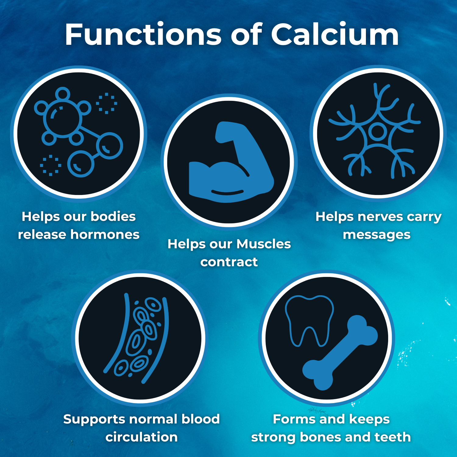 Functions-of-Calcium - SOS Hydration-sa
