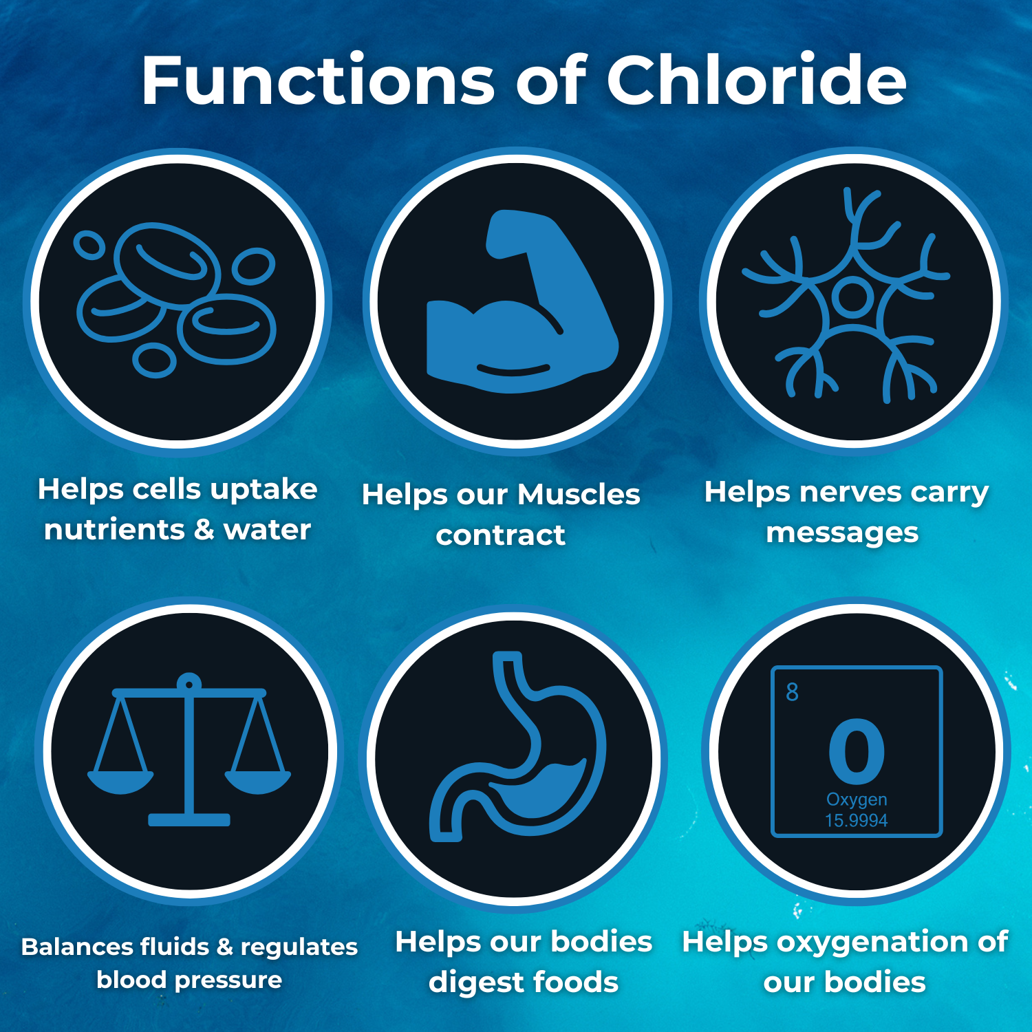 Functions-of-chloride - SOS Hydration-sa