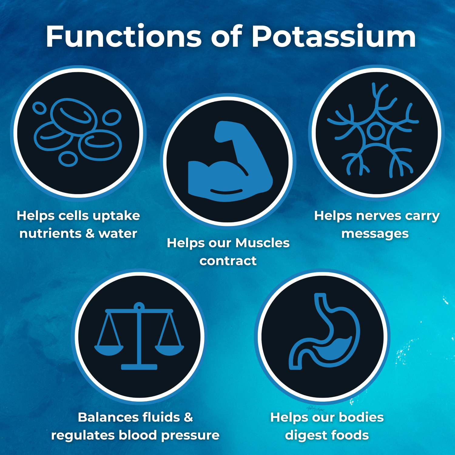 Functions-of-potassium - SOS Hydration-sa