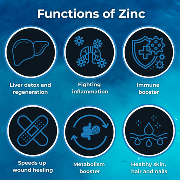 Functions-of-zinc - SOS Hydration-sa